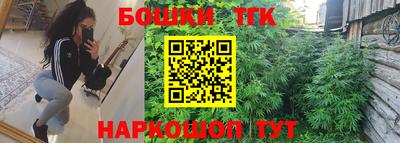 индика Жуковский