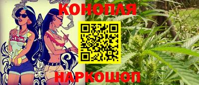 индика Жуковский