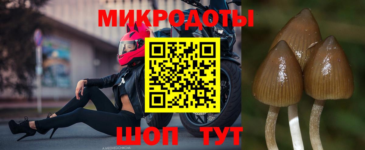 Псилоцибиновые грибы мицелий  Галлюциногенные грибы GOLDEN TEACHER  Лянтор  Вход с VPN 